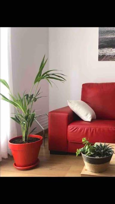 Turistico Casasali Apartment